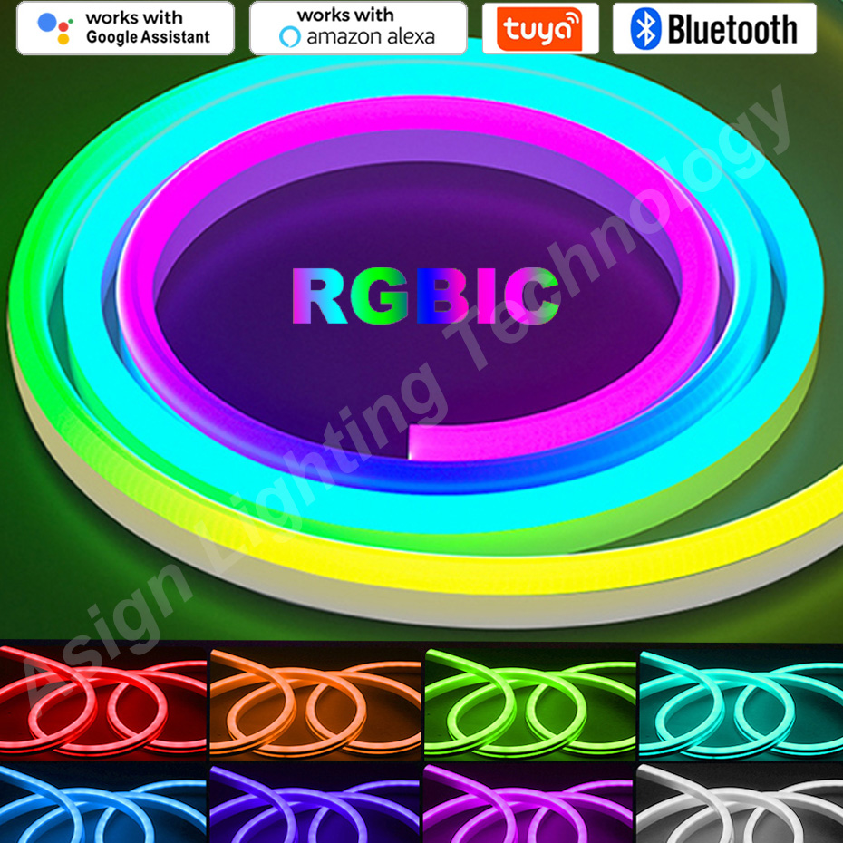 App Smart Garden - RGBIC LED نيون قطاع 12 فولت