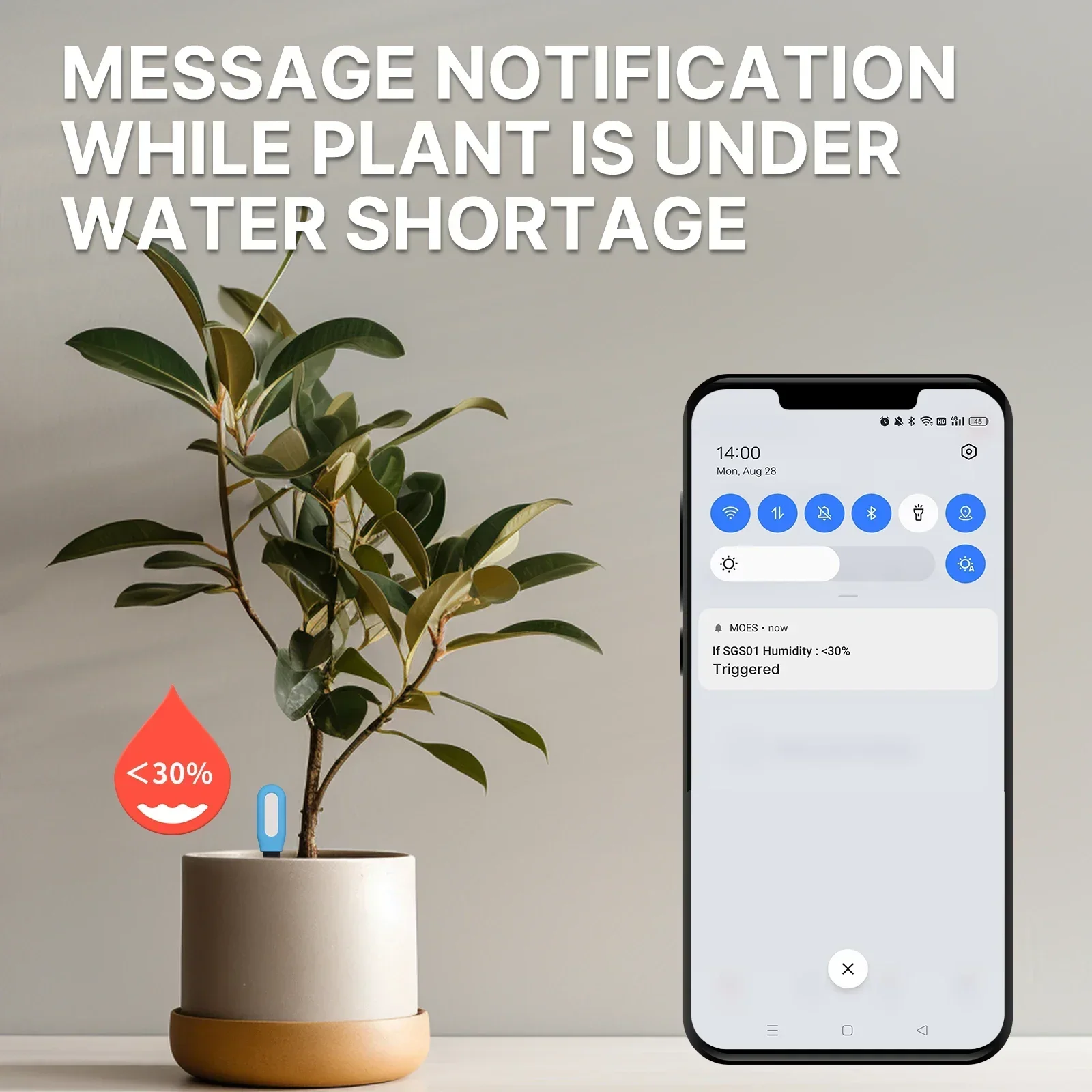 مقياس درجة حرارة التربة ZigBee - مراجعة Smart Garden Irrigation وسعره