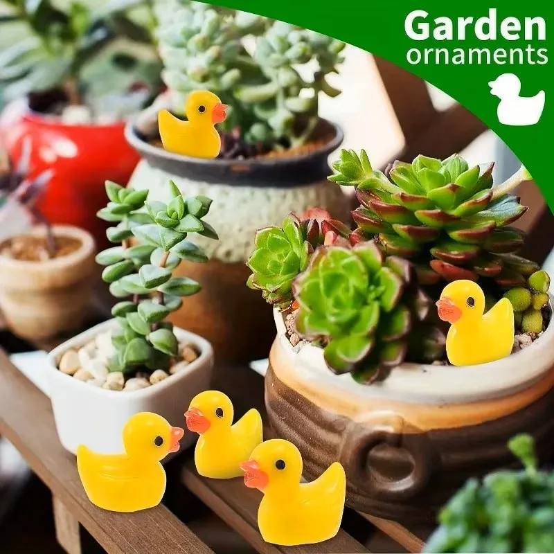بطات صغيرة من الراتنج بالجملة  - مراجعة Smart Garden Diy وسعره